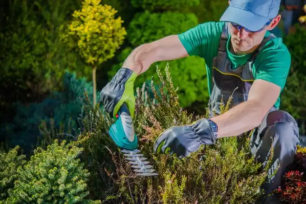 landscaping services Ruleville